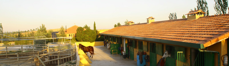 Pupilaje