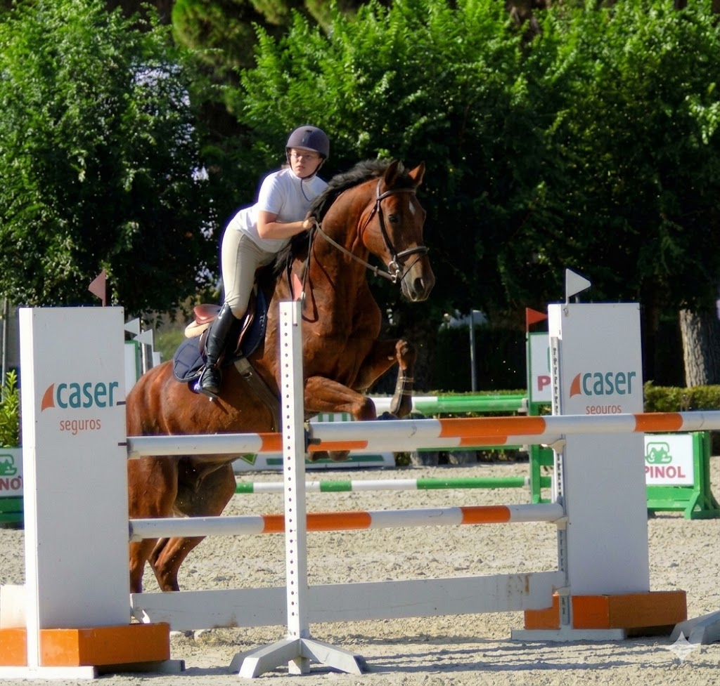 Competición de salto