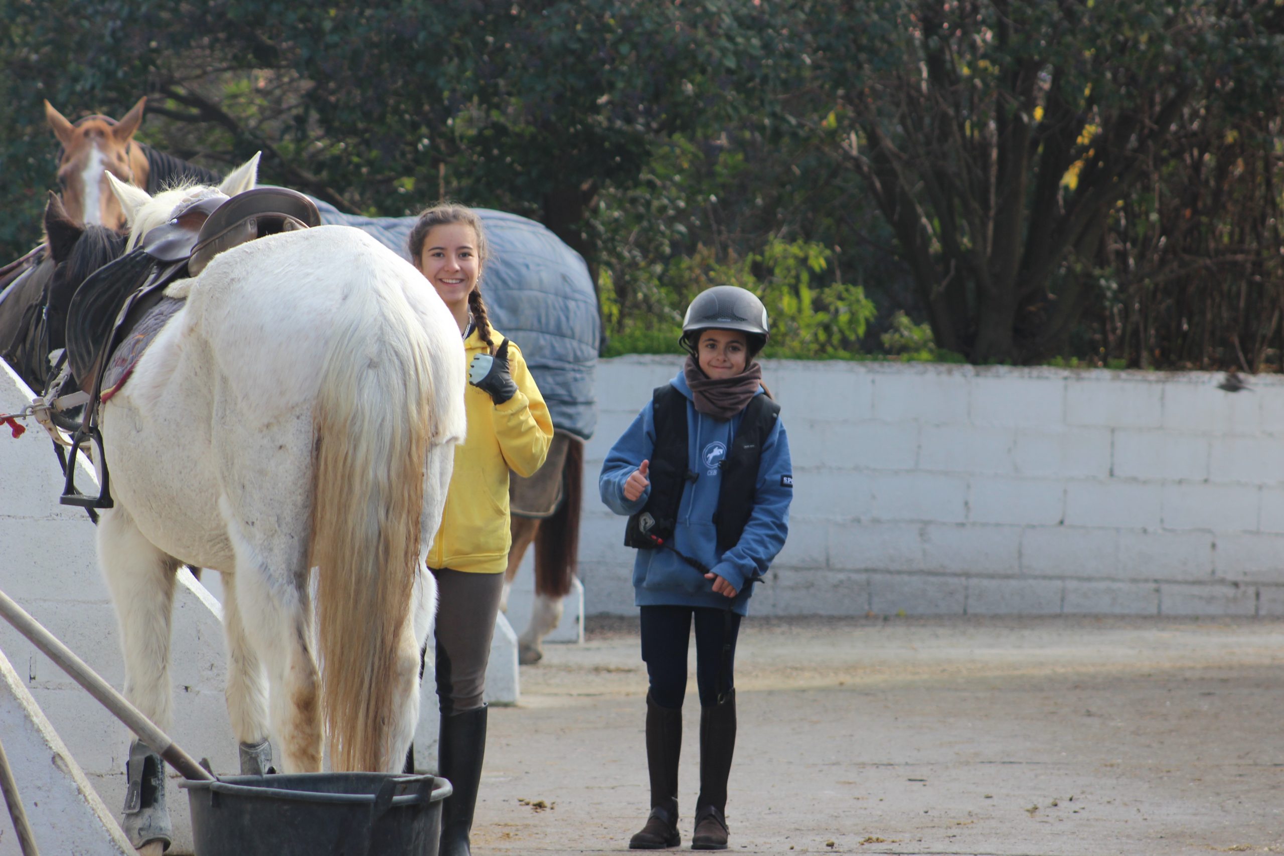 Caballo y jinete