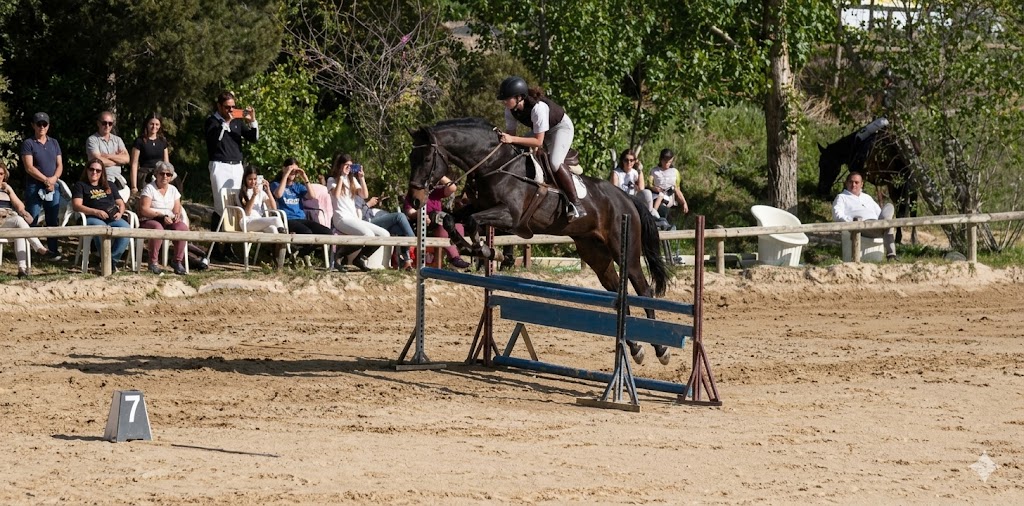 Salto de obstáculos